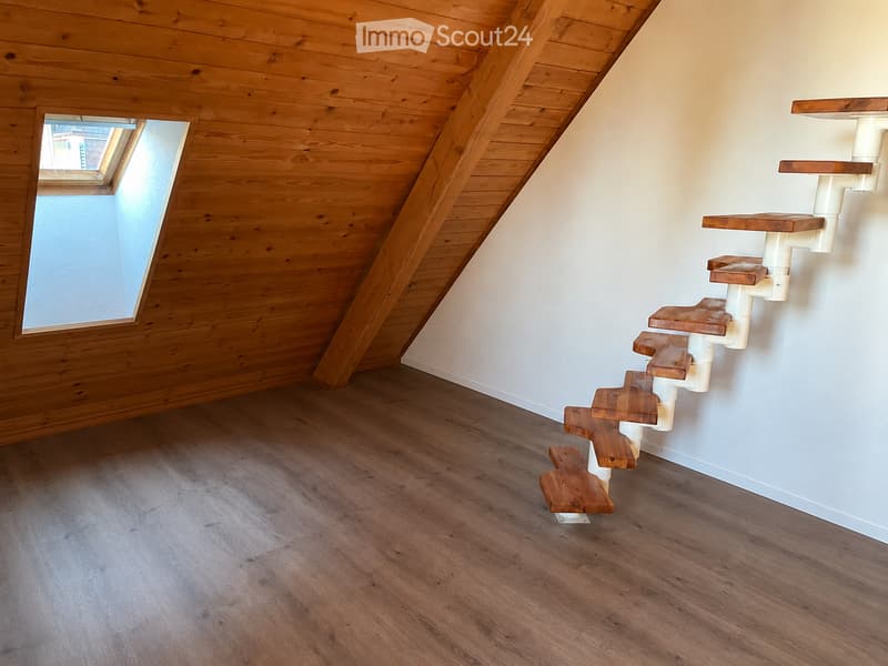 An empty attic room with wooden walls and flooring, featuring a skylight window and a wooden cat staircase against the wall.