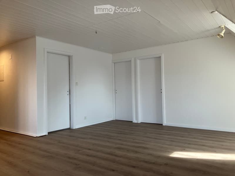 Empty room with white walls, wooden flooring, and three white doors.
