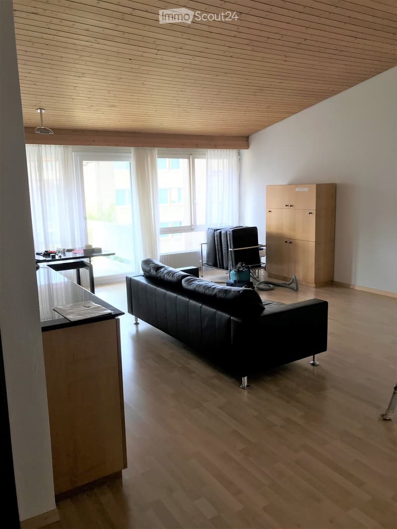 3 1/2 - Zimmer - Dachwohnung (7)