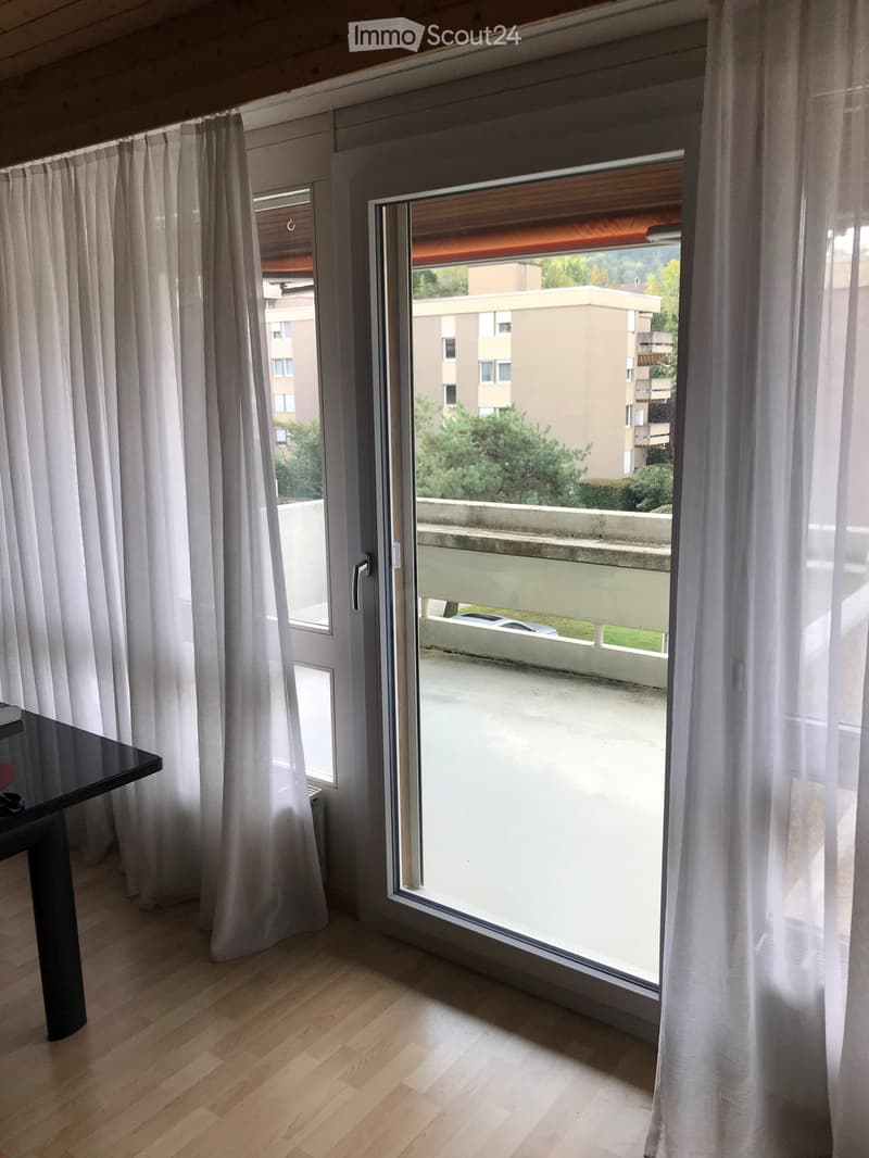 3 1/2 - Zimmer - Dachwohnung (10)