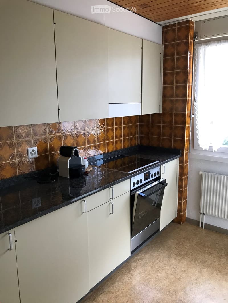 3 1/2 - Zimmer - Dachwohnung (4)