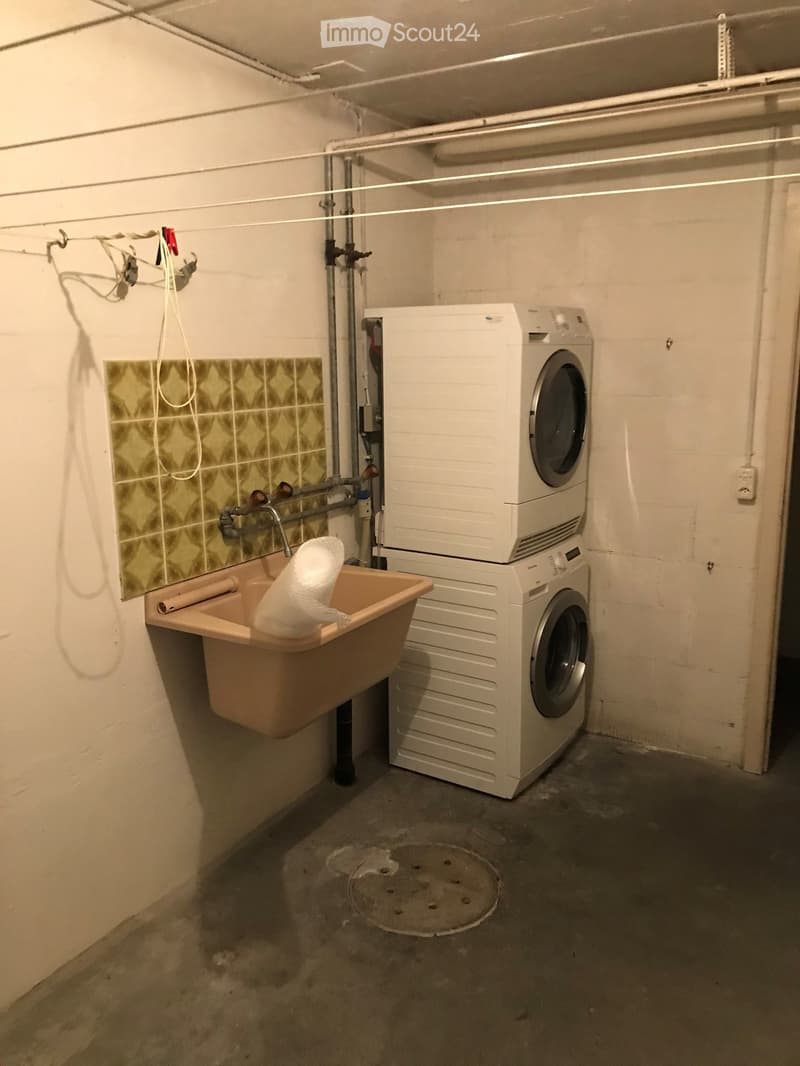 3 1/2 - Zimmer - Dachwohnung (13)