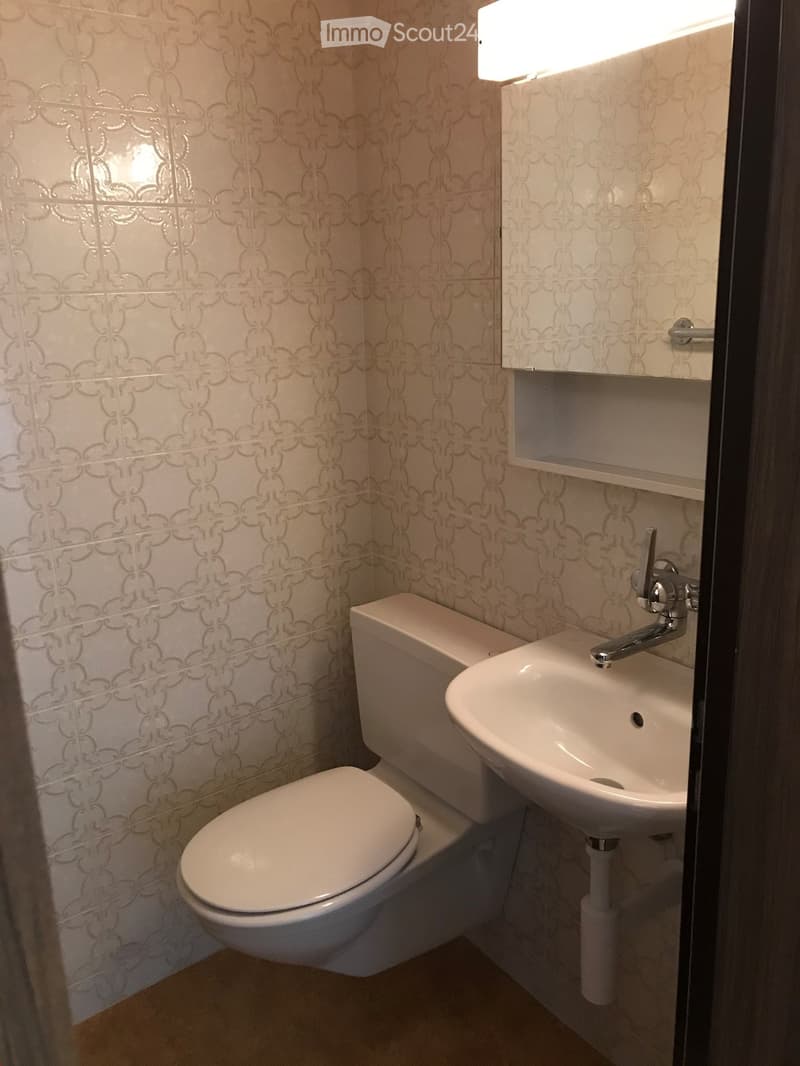 3 1/2 - Zimmer - Dachwohnung (6)