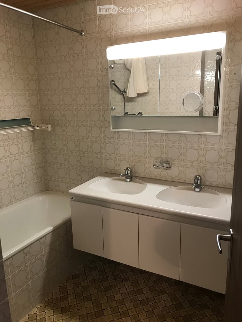 3 1/2 - Zimmer - Dachwohnung (5)