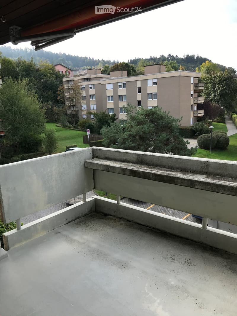 3 1/2 - Zimmer - Dachwohnung (11)