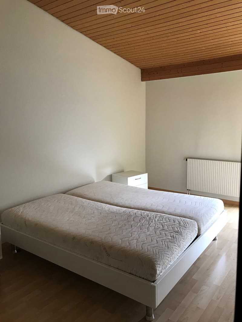 3 1/2 - Zimmer - Dachwohnung (9)