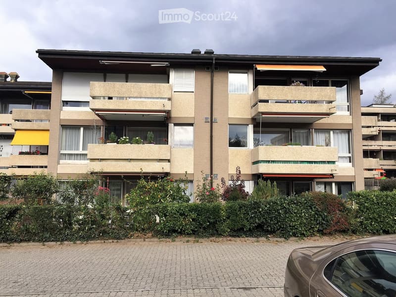 3 1/2 - Zimmer - Dachwohnung (1)