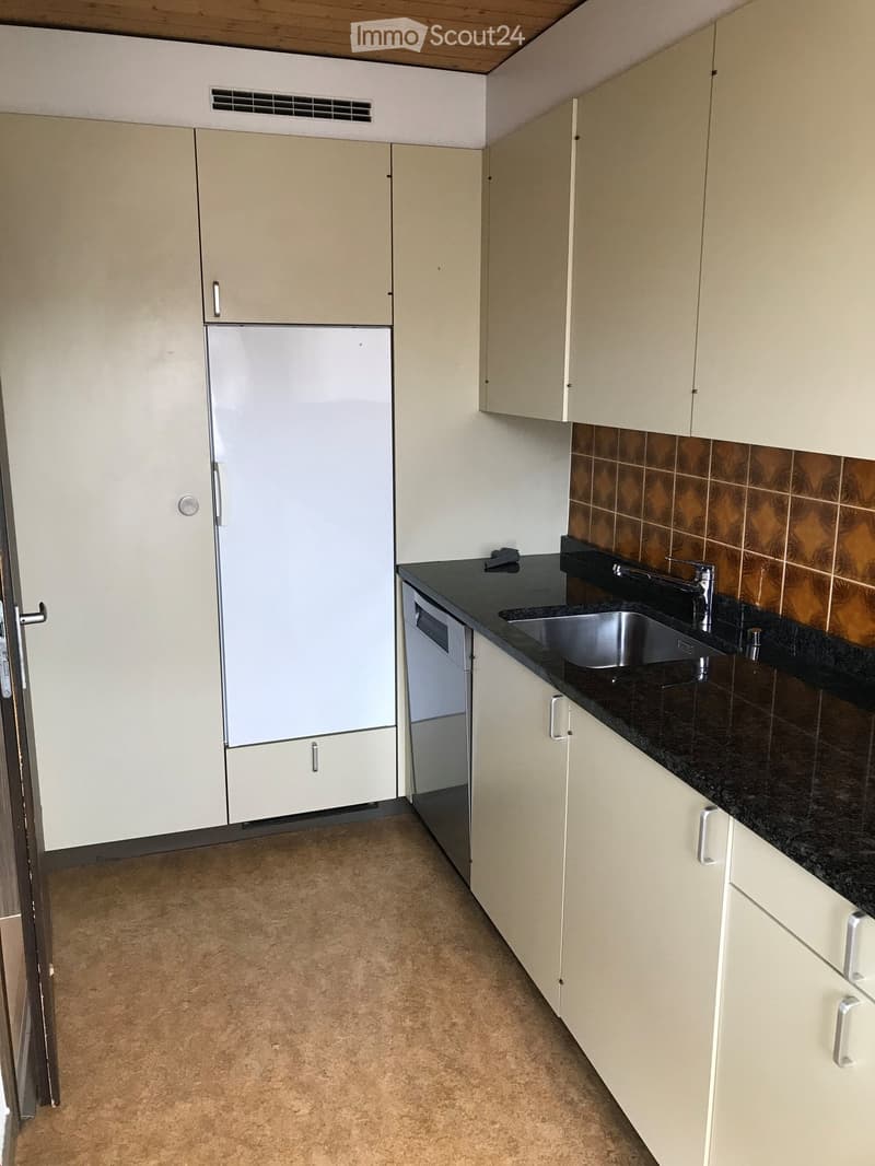 3 1/2 - Zimmer - Dachwohnung (3)