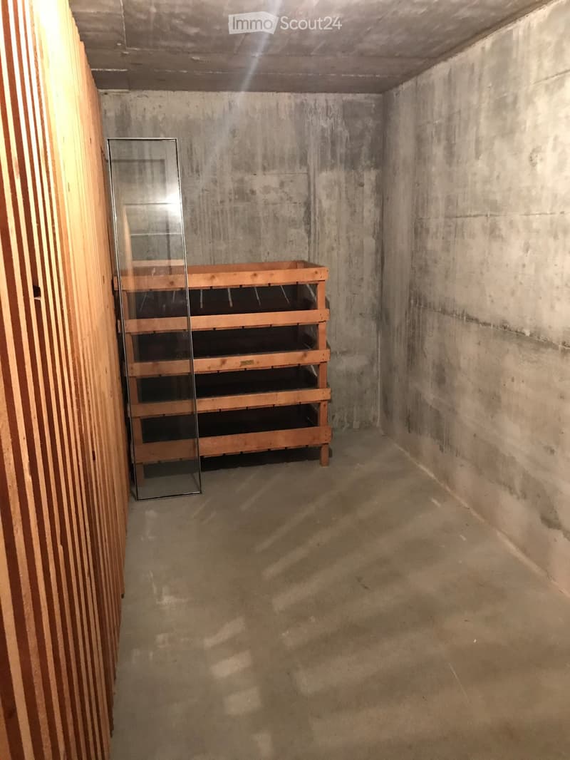 3 1/2 - Zimmer - Dachwohnung (14)