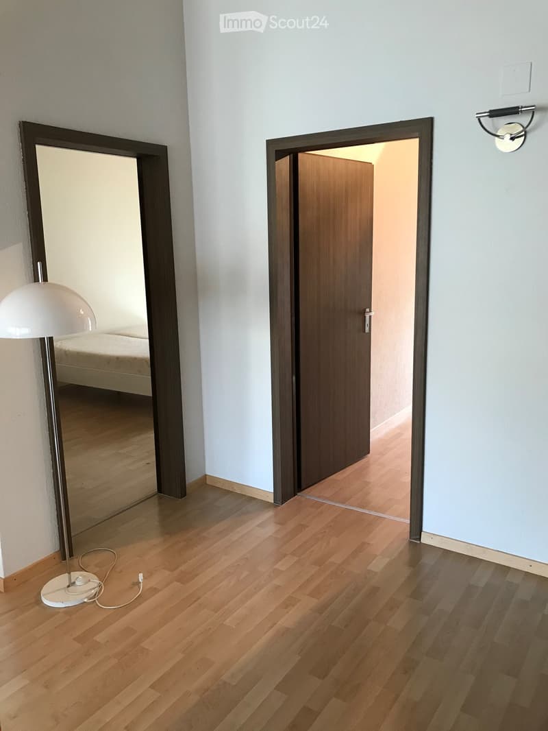 3 1/2 - Zimmer - Dachwohnung (8)