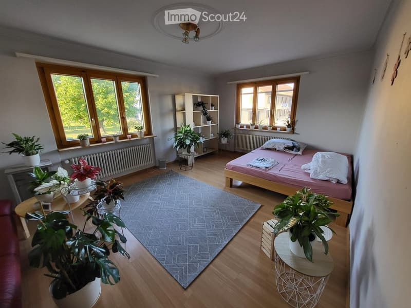 Cozy bedroom with wooden flooring, large windows, a bed with pink bedding, a small table with a plant, and several potted plants around the room.