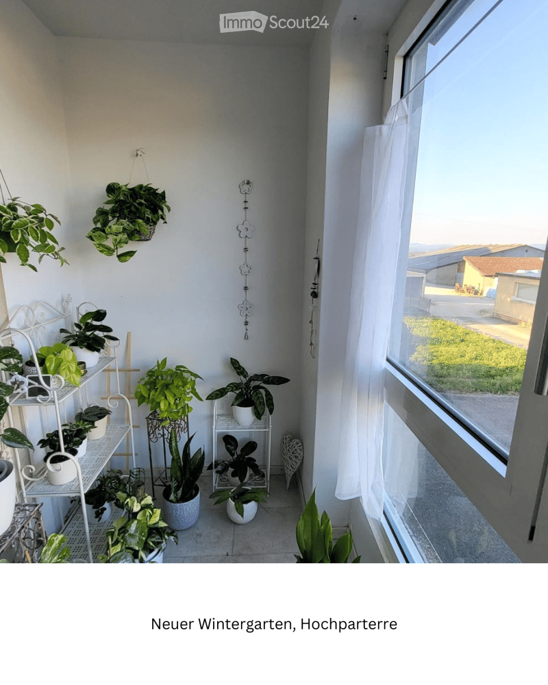 Balcony with multiple potted plants, white metal shelving, hanging plants, and a view of the surrounding area.
