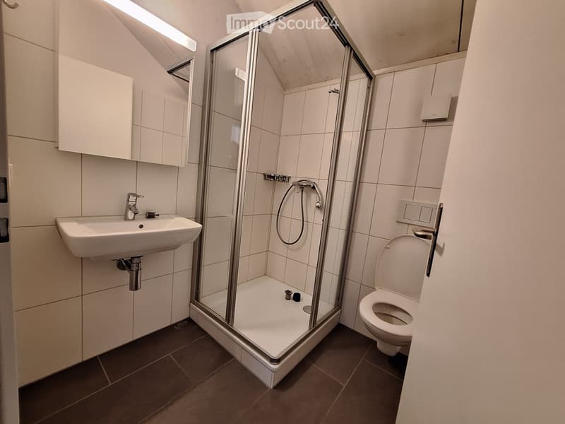 Modern bathroom with a white tiled shower stall, a sink with a chrome faucet, and a toilet. The shower has a glass enclosure and a handheld showerhead.