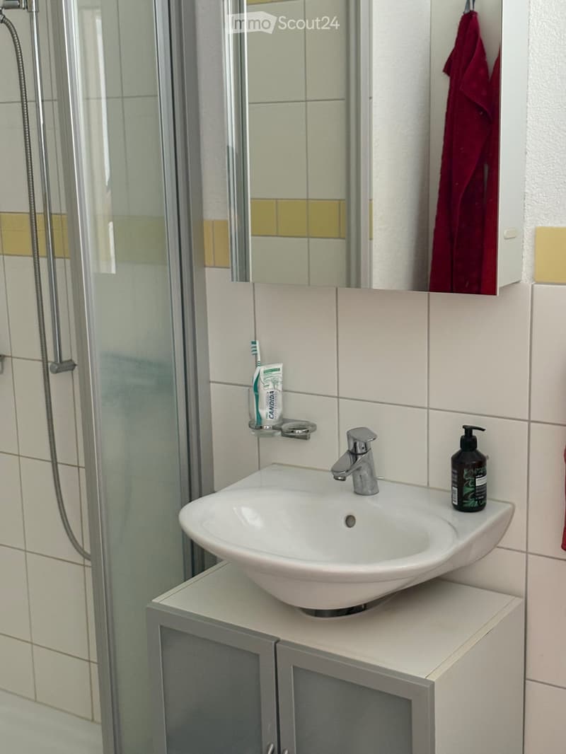 Grosszügige sonnige und ruhige Wohnung für 2 bis 4 Personen (14)