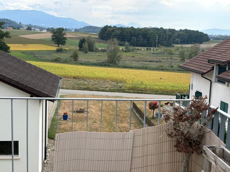 Grosszügige sonnige und ruhige Wohnung für 2 bis 4 Personen (11)