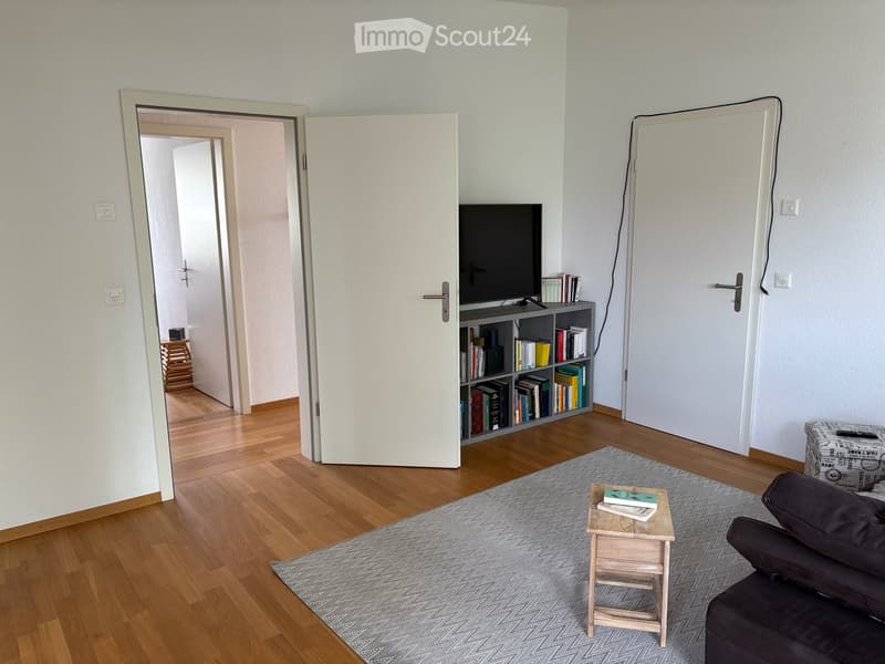 Grosszügige sonnige und ruhige Wohnung für 2 bis 4 Personen (16)