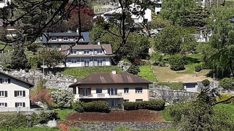 A scenic view of a hillside neighborhood with multiple houses, surrounded by lush greenery and trees.