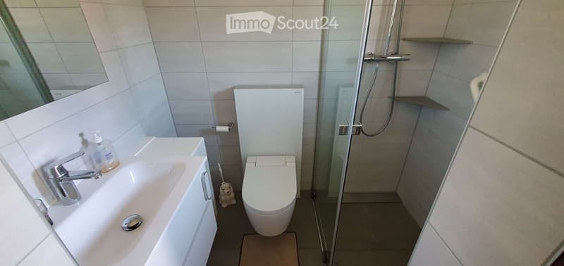 Modern bathroom with a white sink, toilet, shower, and mirror. Includes a soap dispenser and toilet paper holder.