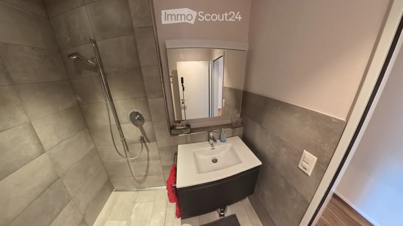Modern bathroom with a white sink, mirror, shower hose, and a red towel hanging on the side.