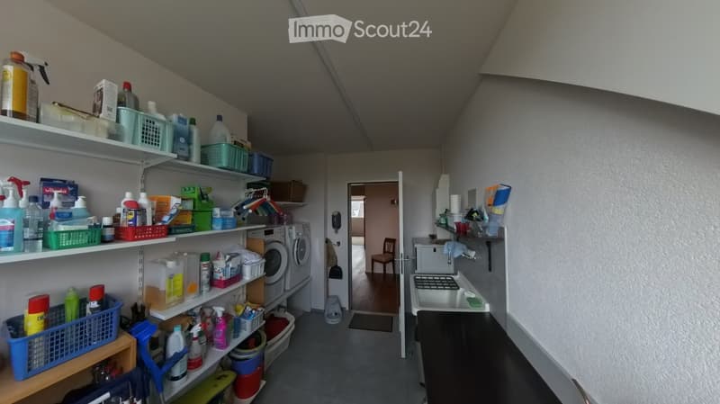 Laundry area with shelves filled with cleaning supplies, a washing machine, a sink, and a small chair in the background.