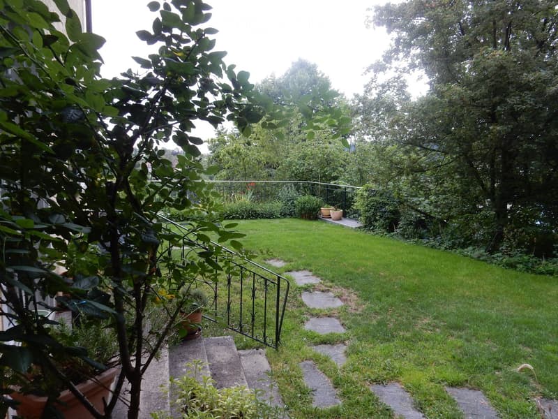 Garden with a well-maintained lawn, a small staircase leading up, potted plants, and a metal railing.