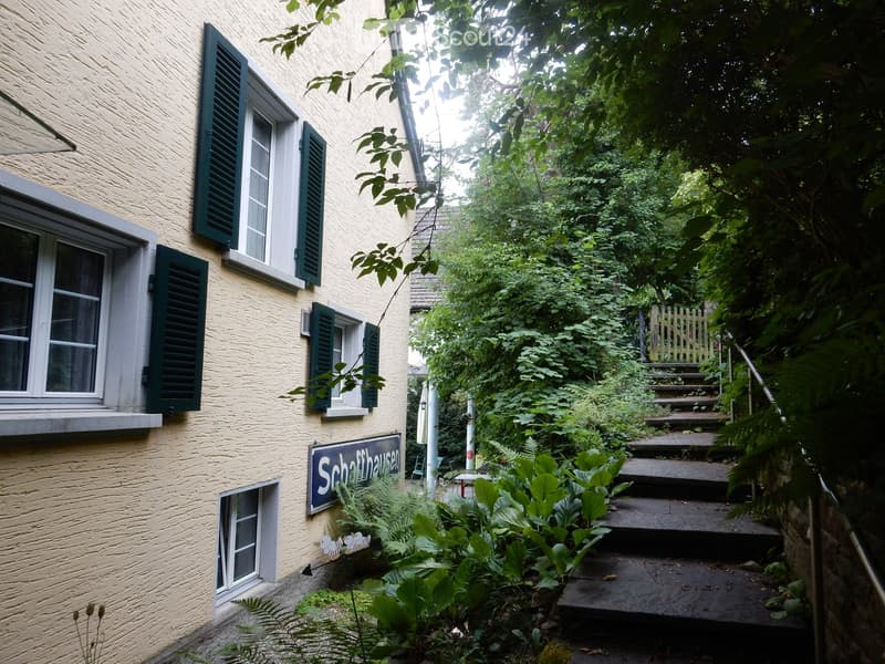 A narrow garden path leads up to a building with yellow walls and green shutters. The garden is lush with various plants and trees, and a small staircase is visible on the right side.