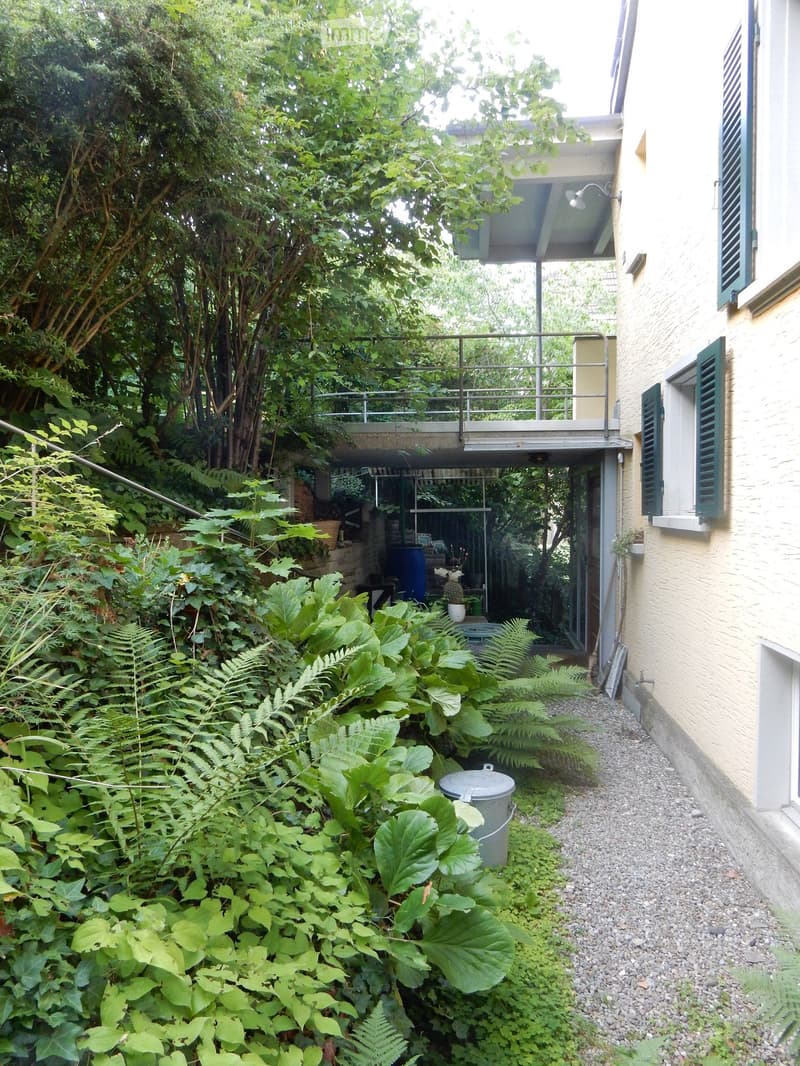 A lush garden area with dense foliage, a small pathway, and a raised balcony overlooking the greenery.