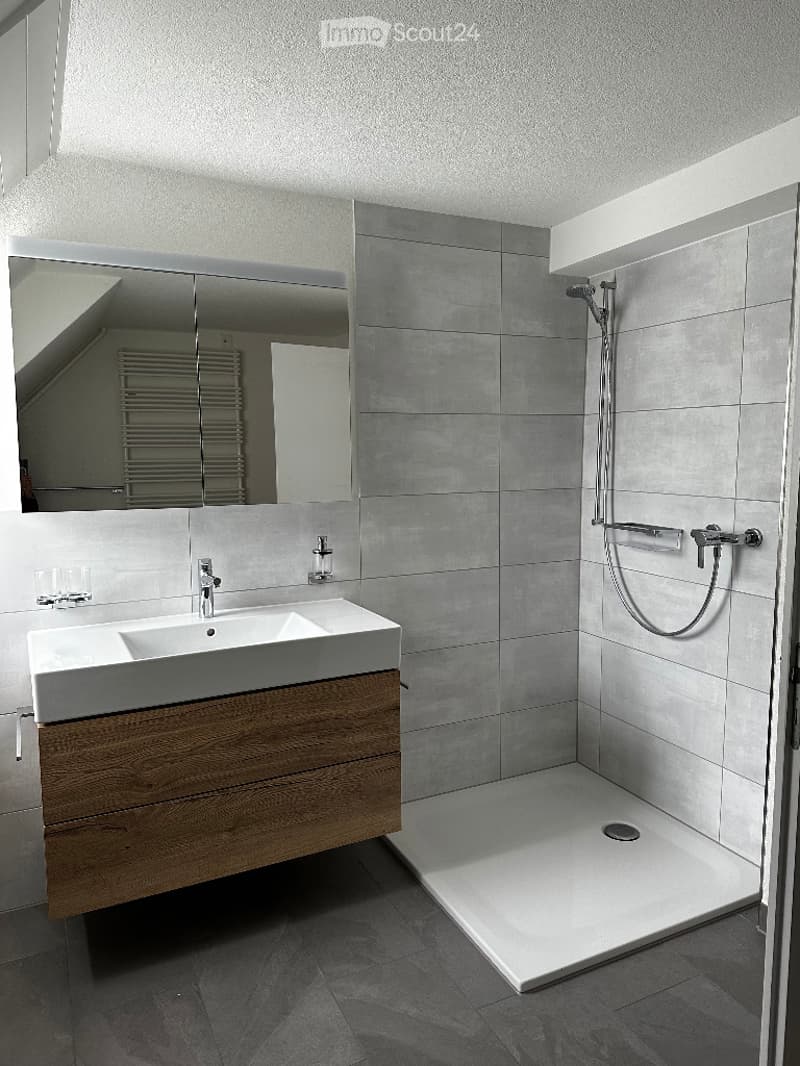 modern white tiles, mirror, wooden cabinet, shower, sink, faucet