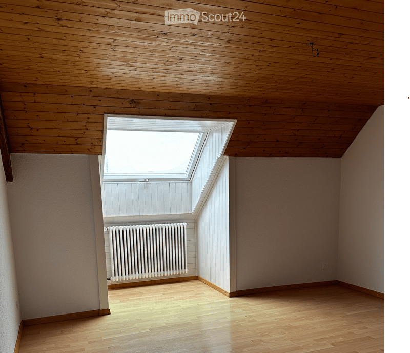 empty room, wooden ceiling, white walls, white radiator, skylight, wooden floor