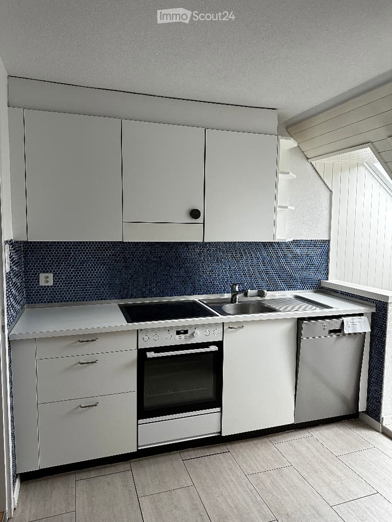 Modern kitchen with blue tiles, white cabinetry, wooden floor, electric oven, dishwasher, and sink.