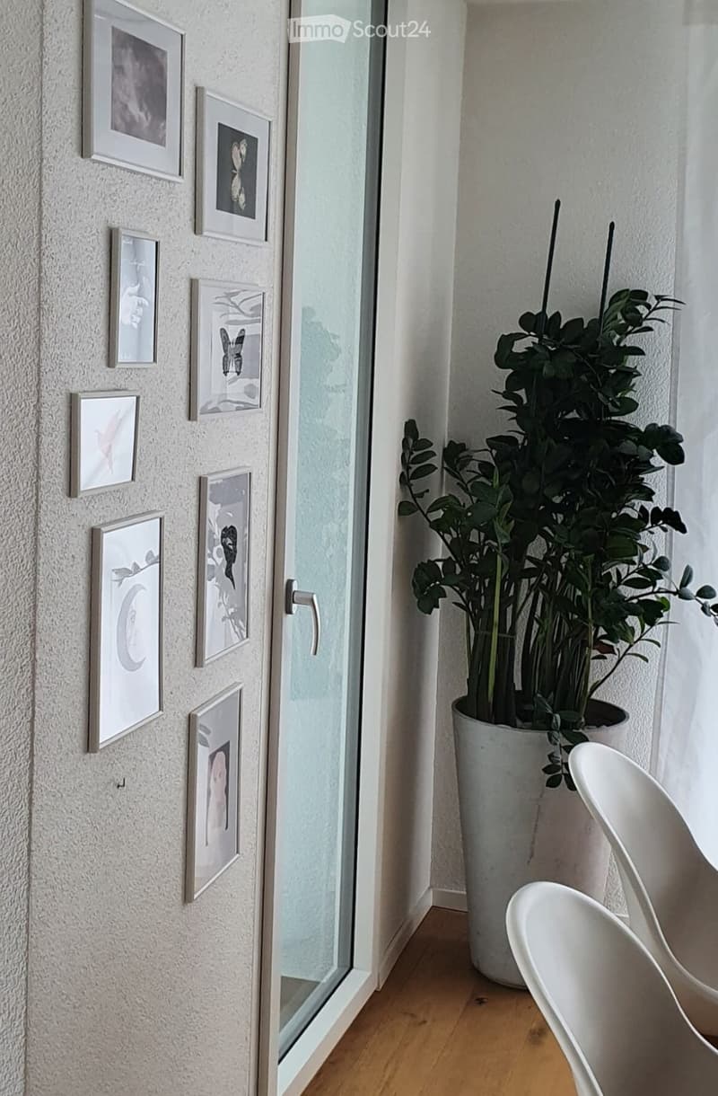 A modern hallway with a large potted plant, a white chair, and several framed artworks on the wall.