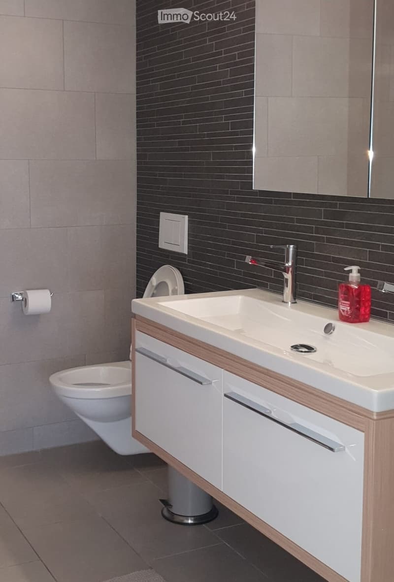 Modern bathroom with a white sink, chrome faucet, toilet, and a wooden vanity cabinet. A mirror is mounted above the sink, and a soap dispenser is placed on the sink counter.