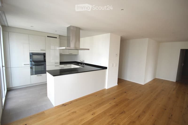 Modern kitchen with white cabinets, black countertops, wooden flooring, and stainless steel appliances including an oven and range hood.