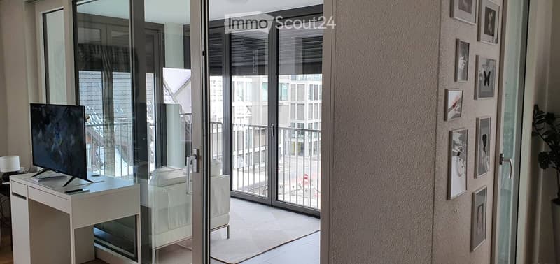 large glass doors to balcony, rug, large television