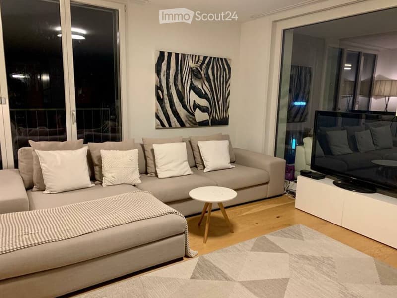 Living room: grey couch, zebra art, TV, table, rug, large windows, balcony