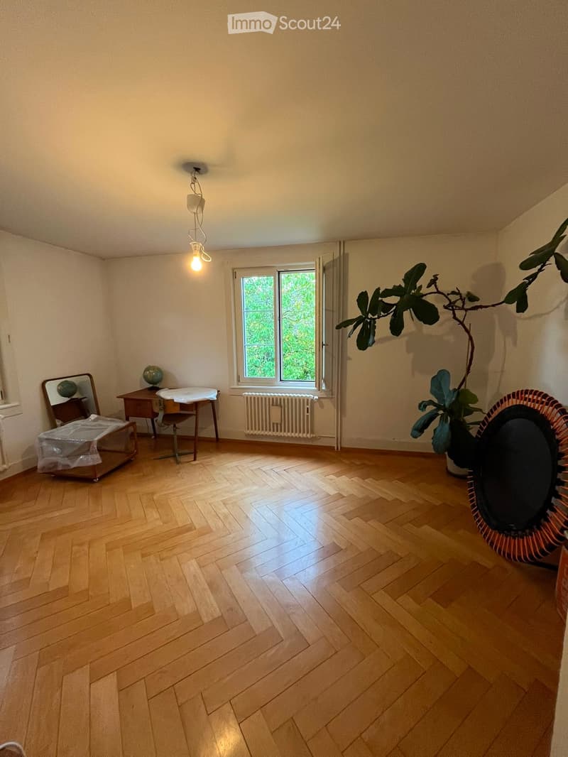 A furnished room with wooden herringbone flooring, a window with a view of greenery, a small wooden table with a chair, a mirror, a globe, a radiator, and a large leafy plant in a pot.