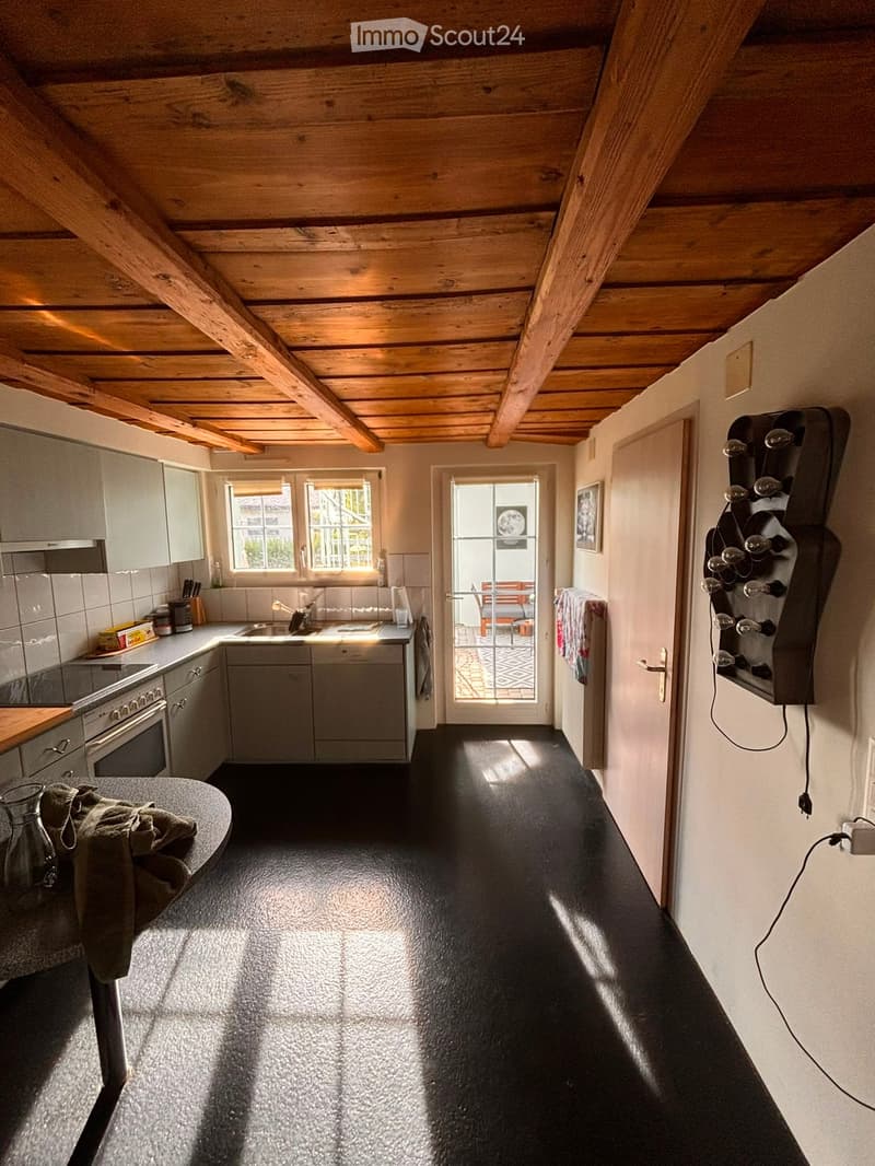 A narrow hallway with a dark, glossy floor, leading to a modern kitchen area with grey cabinets, stainless steel appliances, and a sink. The hallway features exposed wooden beams on the ceiling and a wall-mounted light fixture with multiple bulbs.