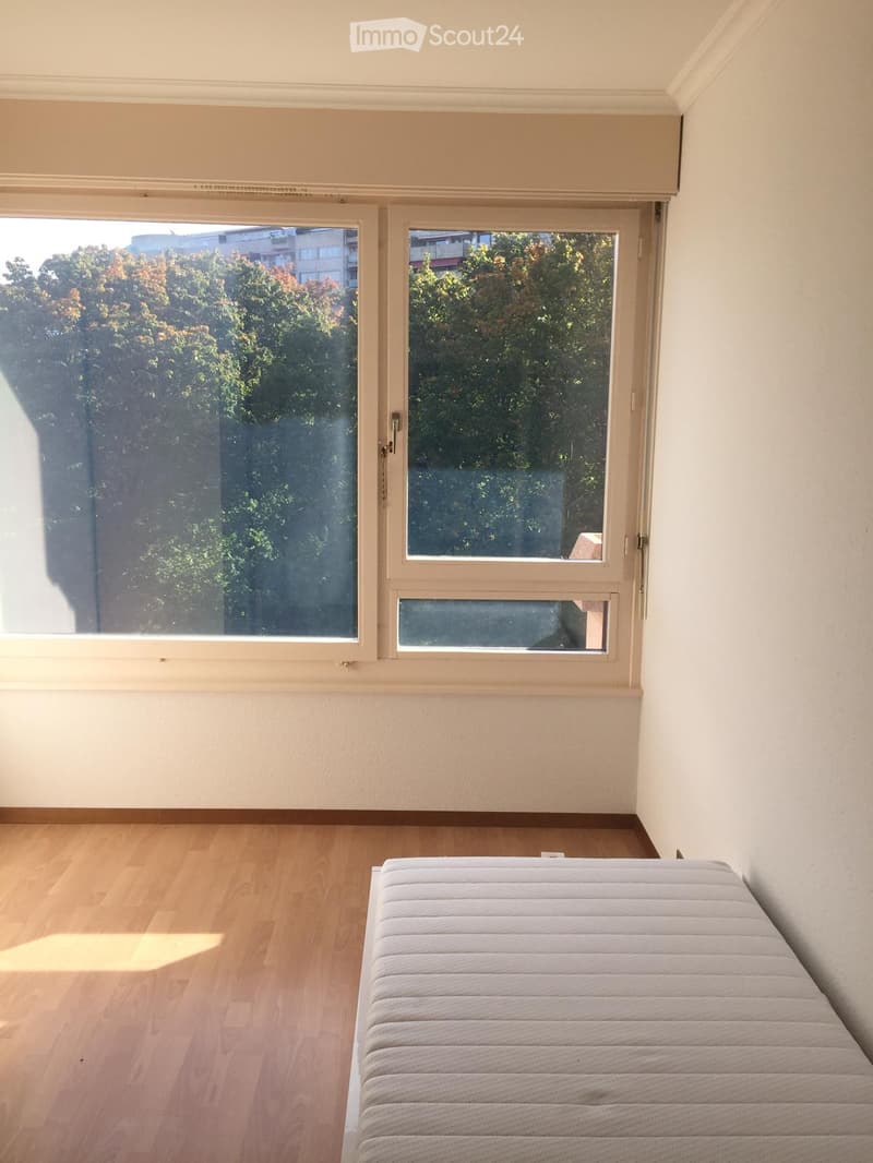 Minimalist unfurnished room with wooden flooring, large windows, and a single bed.