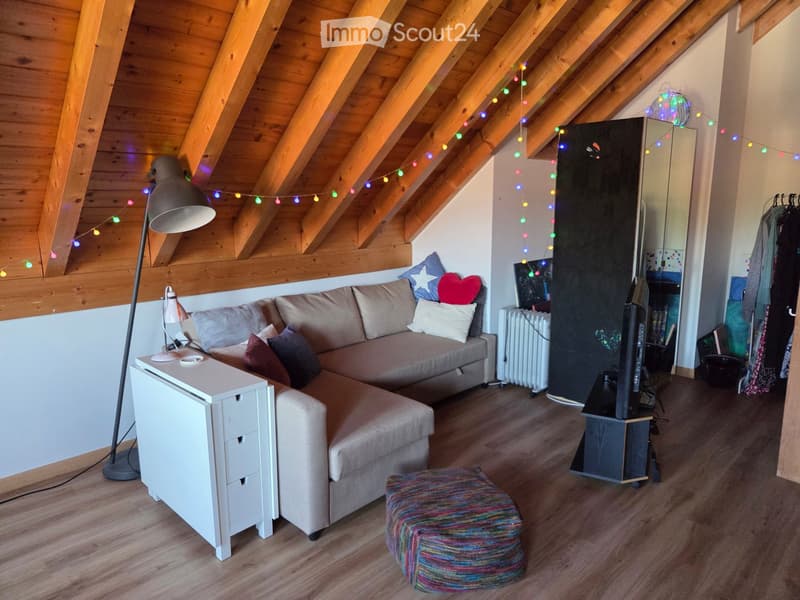 Cozy living room with wooden slanted ceiling, sofa, colorful pillows, small table, floor lamp, TV, and mirror.