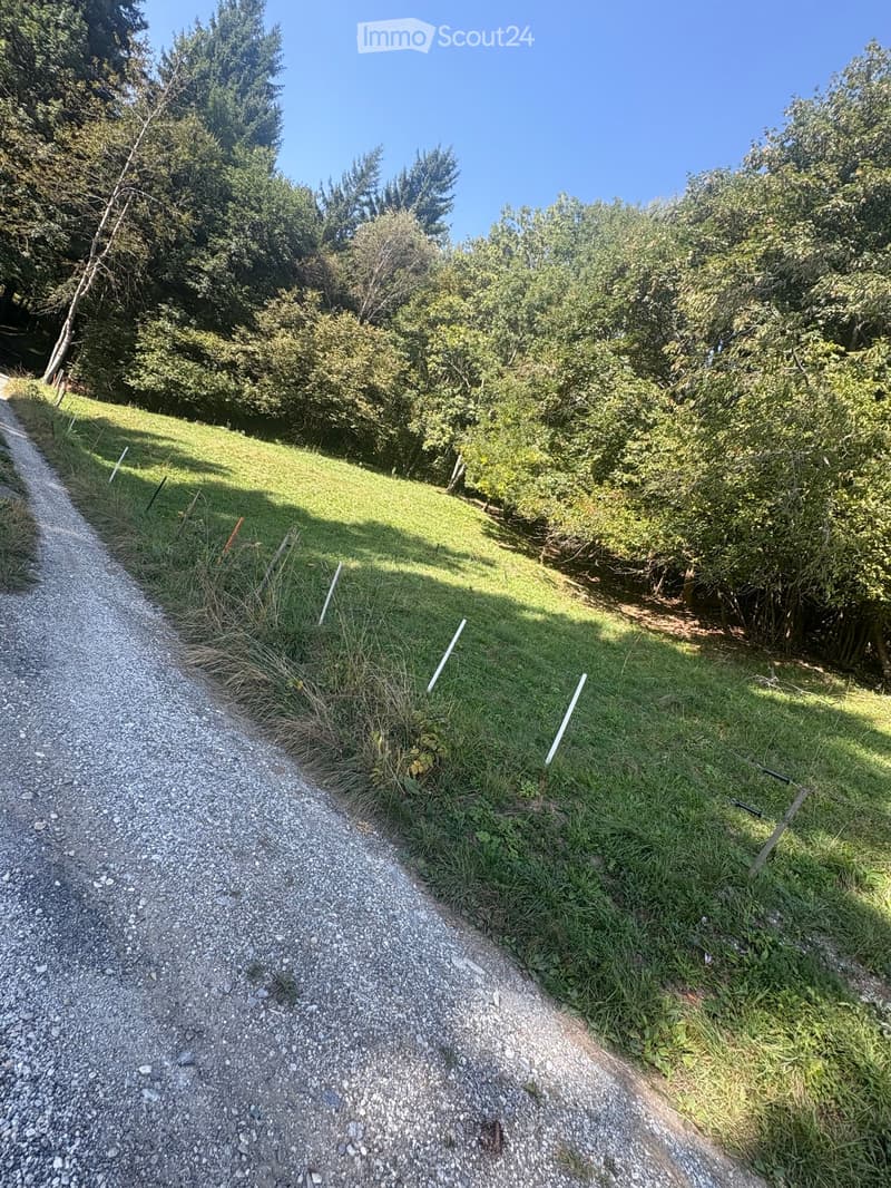 Terrain à agricole à vendre de 2500 m² à Randogne – Opportunité rare en Valais (2)