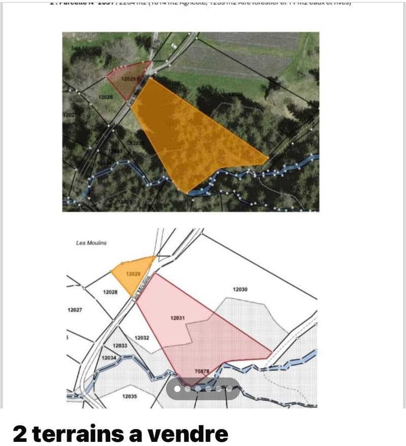 Topographic map showing two plots of land for sale, labeled12029 and 12031, with surrounding roads and terrain features.