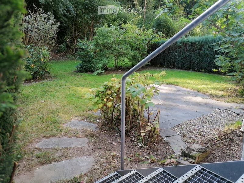 a well-maintained grassy garden, a pathway, a tree, plants, and shrubs