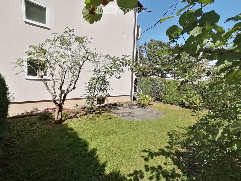 Green grass, bushes, small tree, paved path, and white house