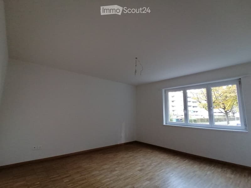 empty room, white walls, wooden floors, windows, light fixture