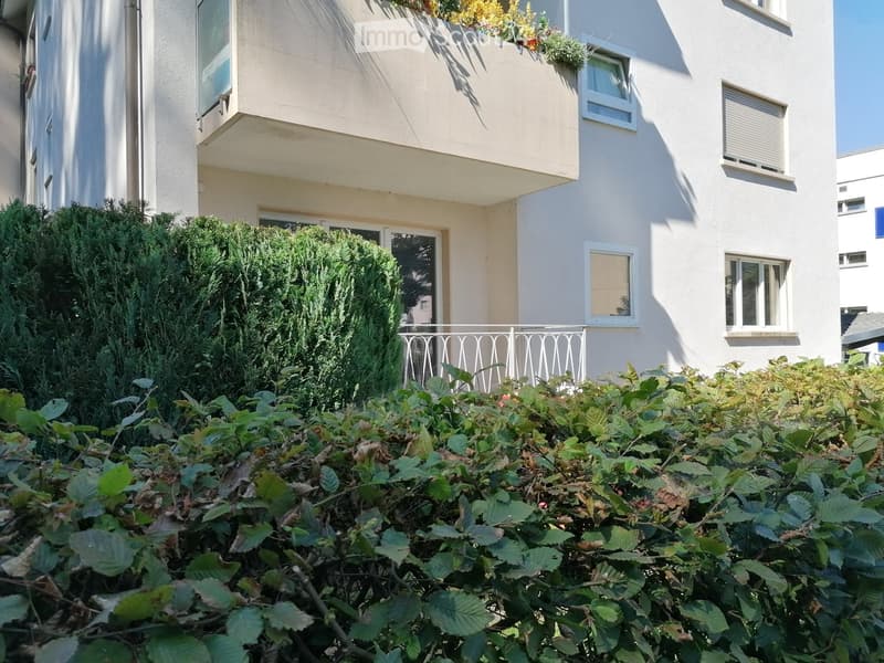 White painted building, multiple windows, a balcony with railings, green hedges in the foreground