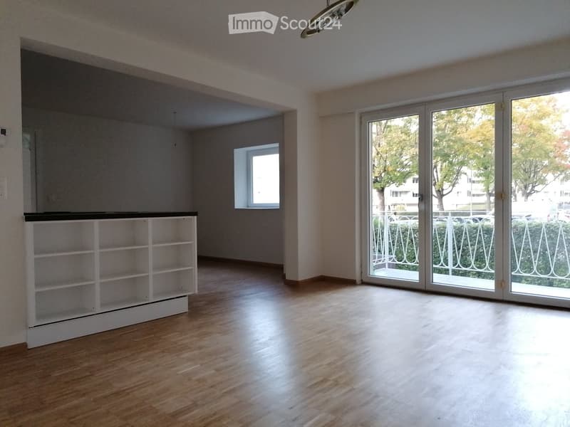 empty room, wooden floor, white walls, balcony, sliding glass doors, white shelves