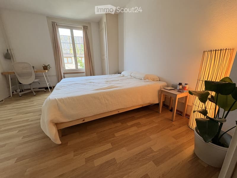 Cozy bedroom with wooden flooring, a large bed, a nightstand, a desk with a chair, and a potted plant near the window.