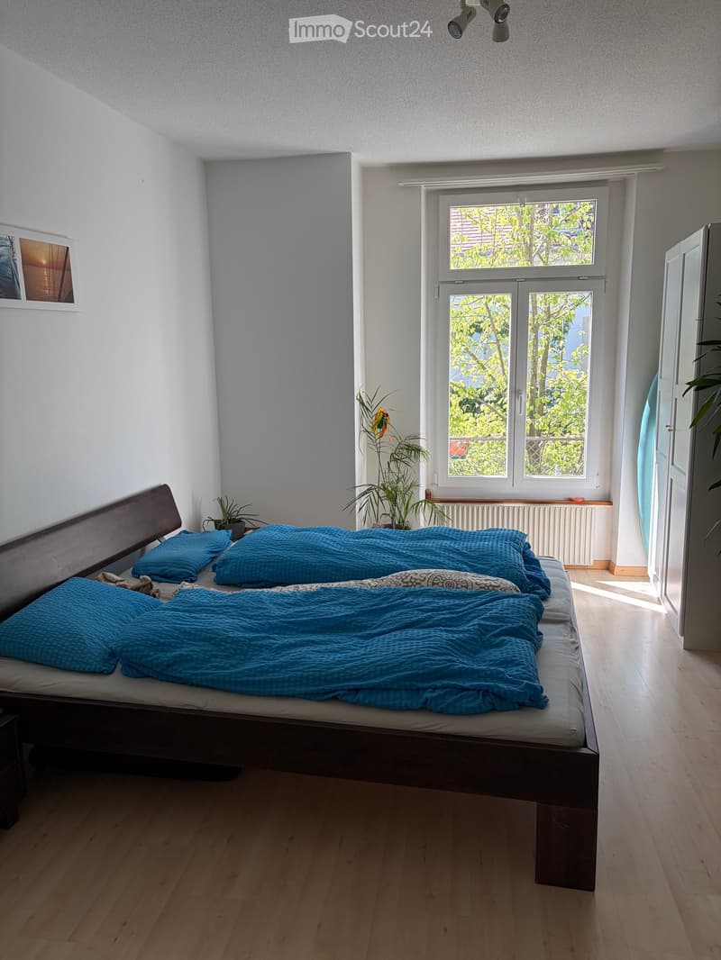 Bright bedroom with wooden flooring, large window with view of greenery, double bed with blue blankets and pillows, small plants, and picture frame on wall.