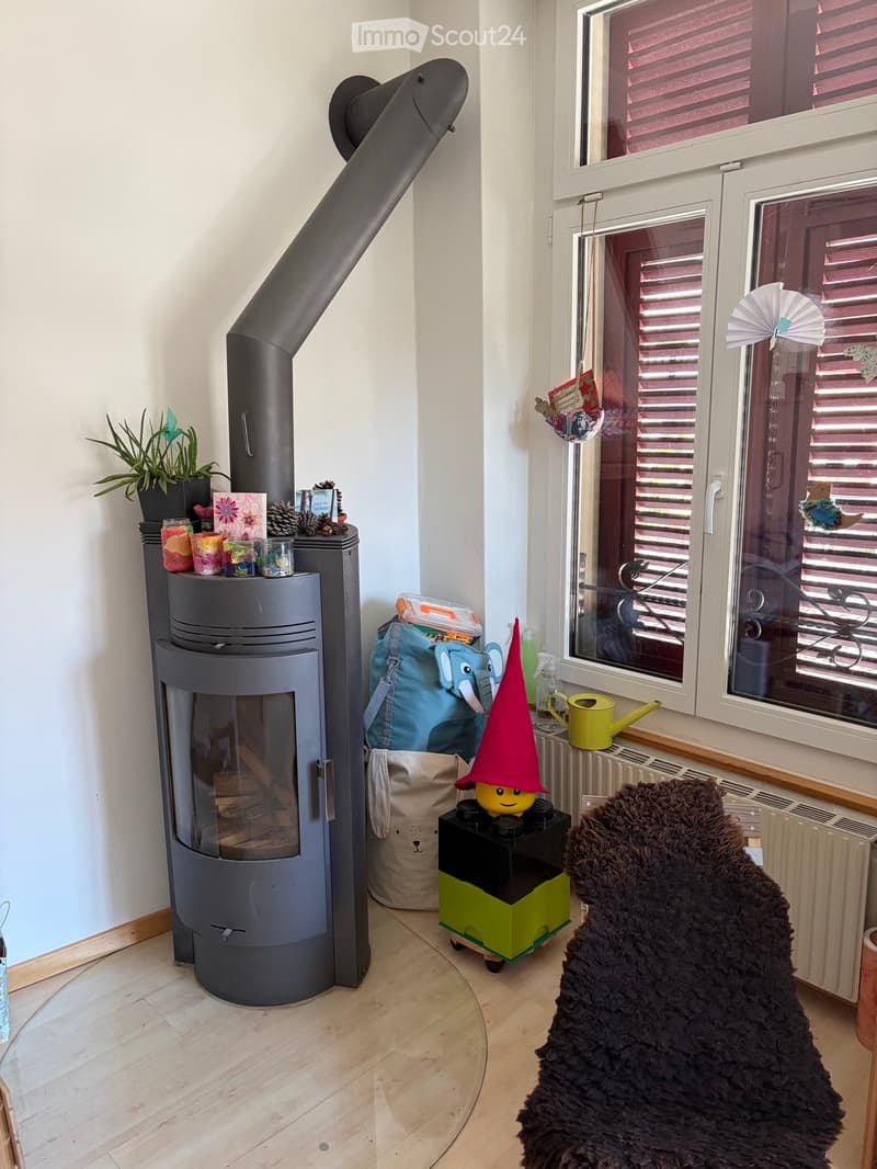 Cozy room with a modern wood-burning fireplace, a small plant, a colorful toy, a backpack, and a fluffy rug near the window.