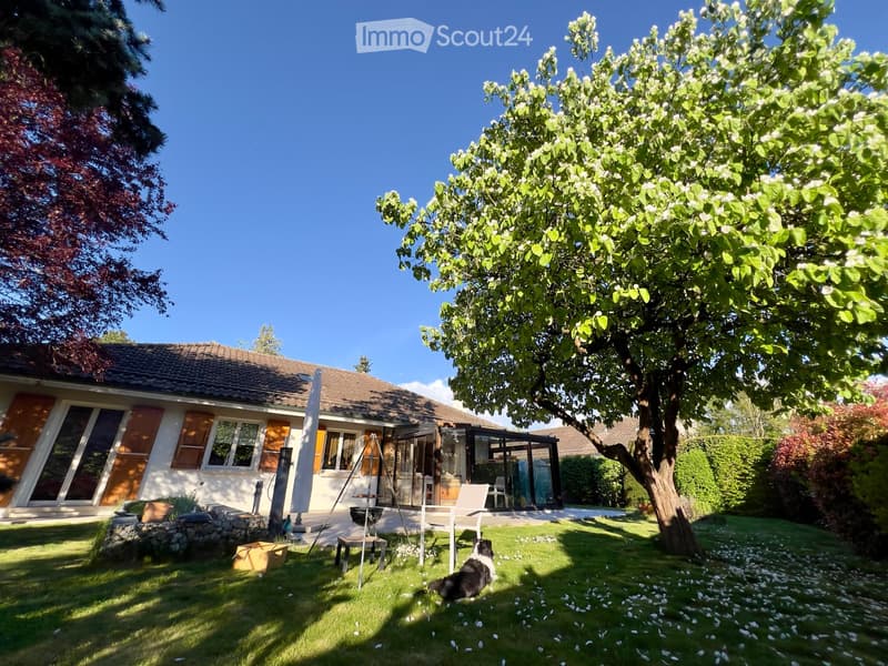 A well-maintained garden with a large tree, a modern house with large windows and shutters, a patio area with a grill and chairs, and a dog lying on the grass.